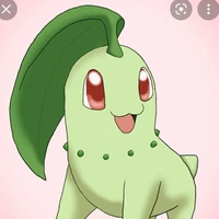 chikorita