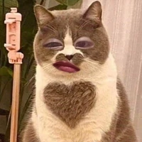 Con tác giả lười biếng^^