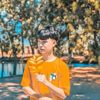 V.Anh