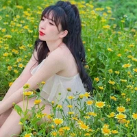 Yến