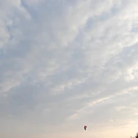 Tác giả