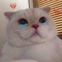 coan tg thíu muối trầm trọng🤒