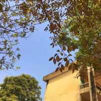 Người bí ẩn