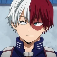 •Todoroki Shoto-Shoto