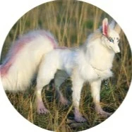 Phú Quý