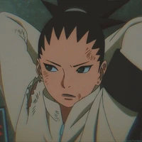 Nara Shikadai