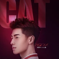 Lão Miêu ( ZGDX_Cat)