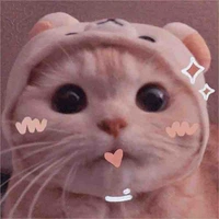 Tác giả