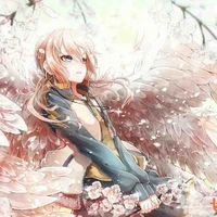 Stella 