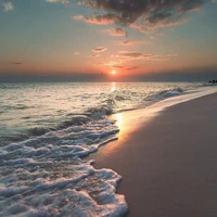 Nhân Vật Phụ Tổng Hợp