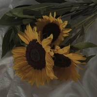 𝐇𝐚𝐧𝐧𝐚𝐡