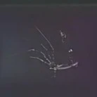 1006