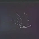 1006