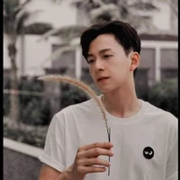 N.K.Huy