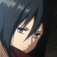 Mikasa