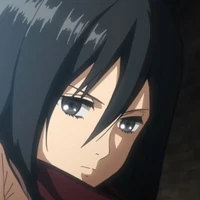 Mikasa