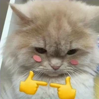 con tác giả mê h+