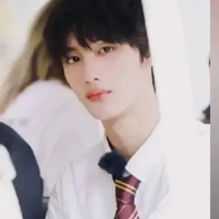 Đinh Trình Hâm (anh)