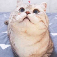 Mồn lèo