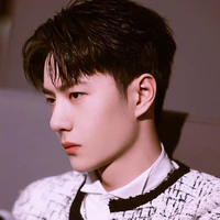 Vương Nhất Bác (NB)