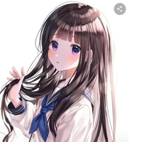 Y/N