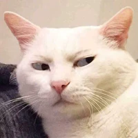 Cô giáo