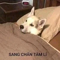 nhiều người