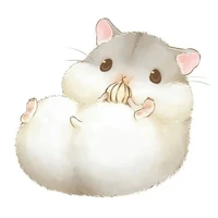 Hệ thống 1314/ Meo