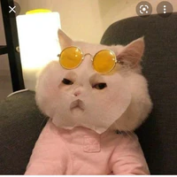 Con đĩ tác giả