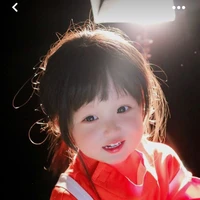 Tả Hồng Đào