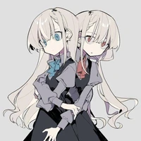 kota,tako