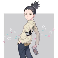 Nara Shikadai