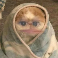Tác giả:>
