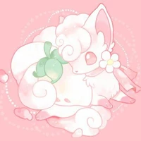 Rokon/Kin-h