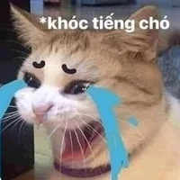 con đạo diễn lười và ngu nhất quả đất
