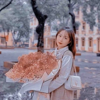 T.Anh(e gái Dương)