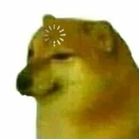 con tác giả