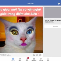 Tác giả