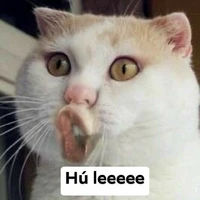 nhân vật qua đường
