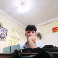 Hệ thống trường Zodiacal