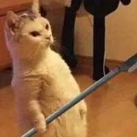 Tác giả óc lợn