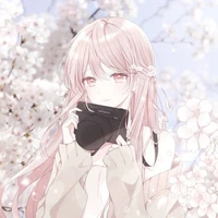 aya