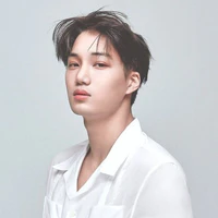 Kim Jong - in ( Kai )