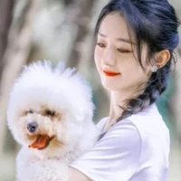 Triệu Lệ Dĩnh