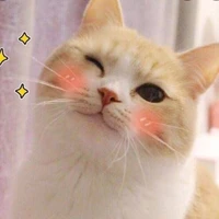 tác giả hóng hớt + trong sáng