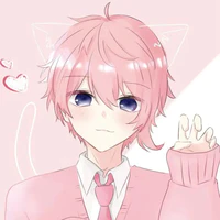 Hima Kasu