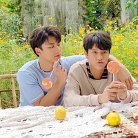 Tác giả💚❤️