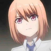 Medoki