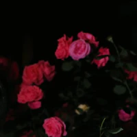 All