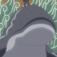 Ibuse